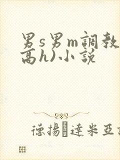 男s男m调教(高h)小说