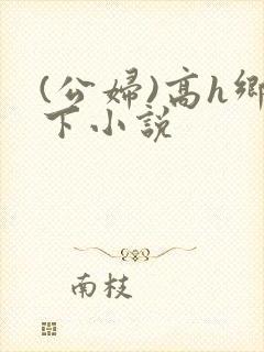 (公妇)高h乡下小说
