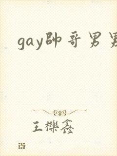 gay帅哥男男封面