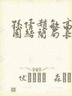 孙倩赵敏高义大团结兰局长