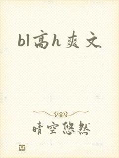 bl高h爽文封面