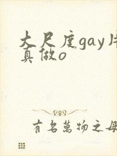大尺度gay片真做o
