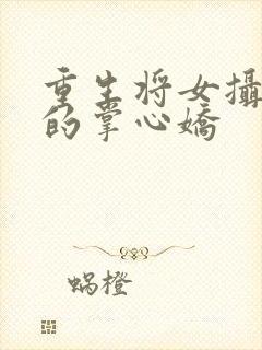 重生将女摄政王的掌心娇封面