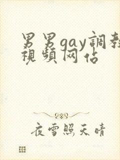 男男gay调教视频网站封面