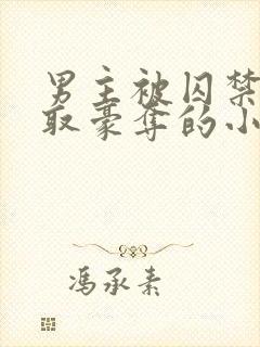 男主被囚禁被强取豪夺的小说笔趣阁封面