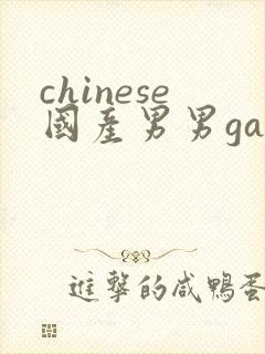 chinese国产男男gaygay