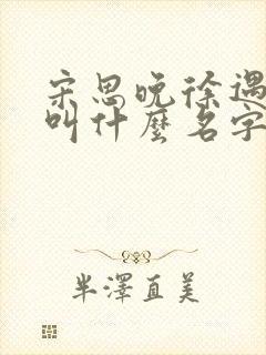 宋思晚徐遇小说叫什么名字最新章节