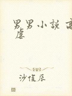 男男小说 高h 虐