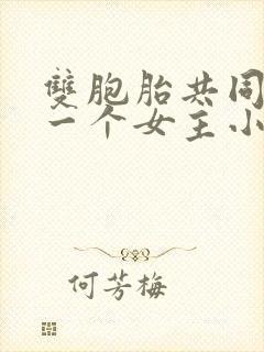 双胞胎共同享有一个女主小说