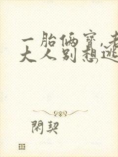 一胎俩宝,老婆大人别想逃 阅读