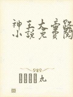 神王大帝路一平小说免费阅读全文封面