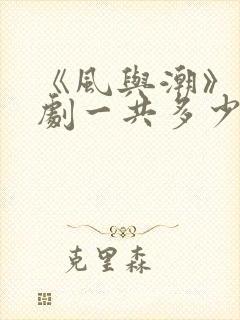 《风与潮》电视剧一共多少集
