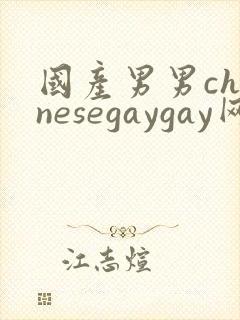国产男男chinesegaygay网站