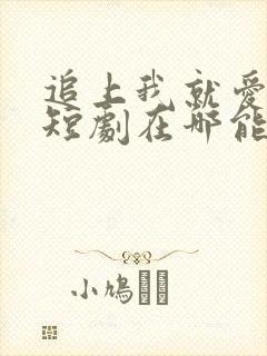 追上我就爱上你短剧在哪能看