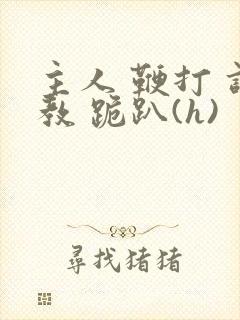 主人 鞭打 调教 跪趴(h)
