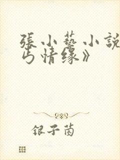 张小艺小说《乞丐情缘》