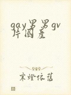gay男男gv片国产