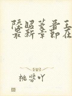 陆昭菱晋王小说最新章节在线阅读封面