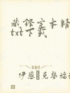 藏锋完本精校版txt下载封面