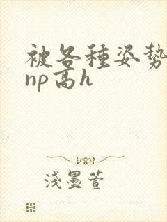 被各种姿势玩弄np高h封面