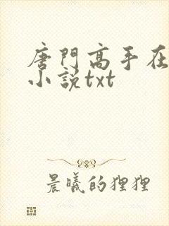 唐门高手在异世小说txt