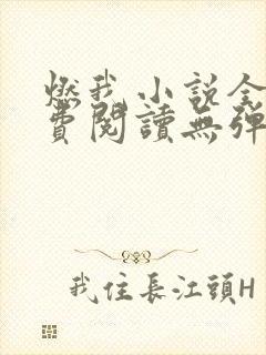 燃我小说全文免费阅读无弹窗