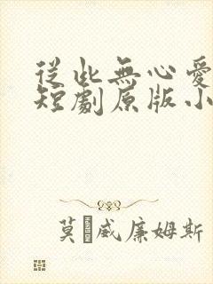 从此无心爱良夜短剧原版小说