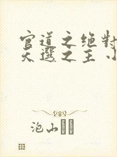 官道之绝对权力天选之主 小说阅读