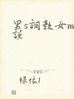 男s调教女m小说封面