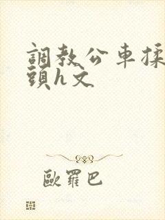 调教公车揉捏奶头h文