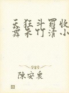 天狂斗罗收服小舞朱竹清小说封面