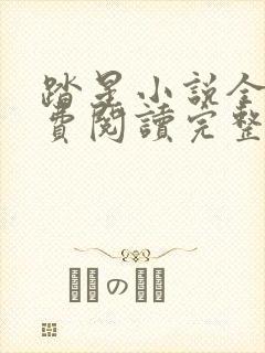 踏星小说全文免费阅读完整版无弹窗