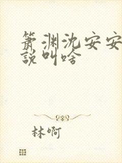 箫渊沈安安的小说叫啥