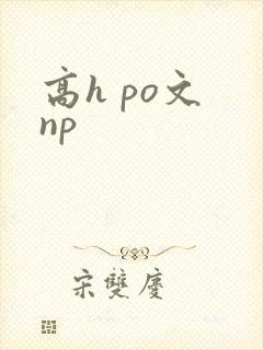 高h po文 np