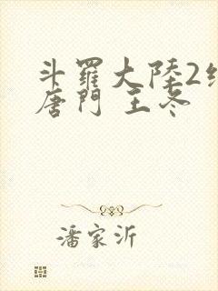 斗罗大陆2绝世唐门 王冬