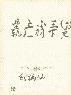 爱上小三(攻出轨)_羽下免费阅读小说