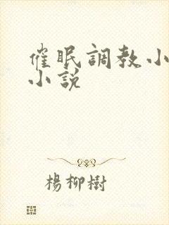 催眠调教小美人小说