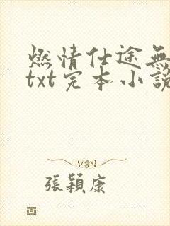 燃情仕途无删减txt完本小说资源