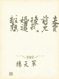 离婚后前夫总是想追我免费阅读封面