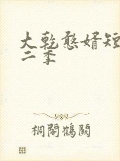 大乾憨婿短剧第二季