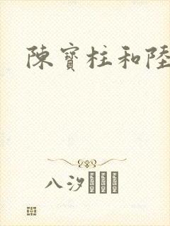 陈宝柱和陆冰嫣封面