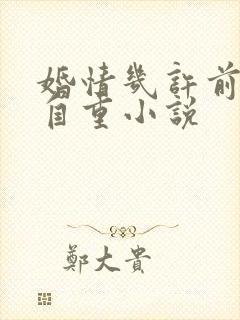 婚情几许前夫请自重小说