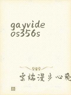 gayvideos356s封面