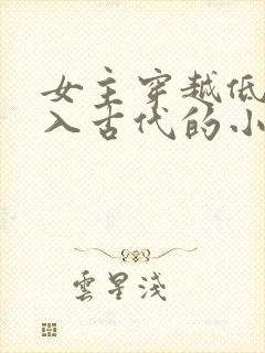 女主穿越低调融入古代的小说封面