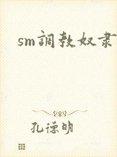 sm调教奴隶文