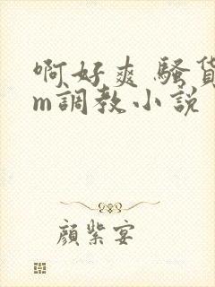 啊好爽 骚货sm调教小说