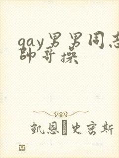 gay男男同志帅哥操