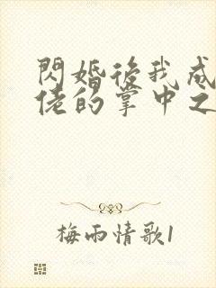 闪婚后我成了大佬的掌中之物46