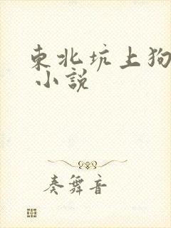 东北坑上狗儿娘 小说