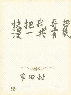 快把我哥带走动漫一共有几季